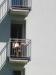 Thumbnail IMG_4208_800x600.JPG 