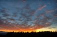 Thumbnail img_7965.jpg 