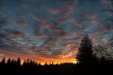 Thumbnail img_7974.jpg 