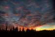 Thumbnail img_7977.jpg 