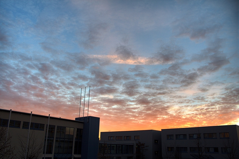 img_7953.jpg 