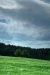 Thumbnail img_0848.jpg 