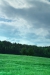 Thumbnail img_0850.jpg 