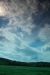 Thumbnail img_0856.jpg 