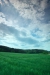 Thumbnail img_0861.jpg 