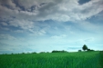 Thumbnail img_0871.jpg 