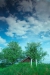 Thumbnail img_0876.jpg 