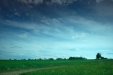 Thumbnail img_0880.jpg 