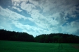 Thumbnail img_0881.jpg 