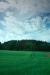 Thumbnail img_0885.jpg 