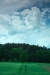 Thumbnail img_0888.jpg 