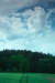 Thumbnail img_0890.jpg 