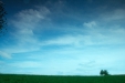 Thumbnail img_0892.jpg 