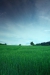 Thumbnail img_0904.jpg 