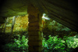 Thumbnail img_6196.jpg 