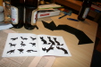 Thumbnail img_0169.jpg 