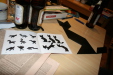 Thumbnail img_0172.jpg 