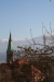 Thumbnail img_0241.jpg 