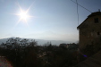Thumbnail img_0248.jpg 