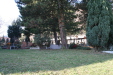 Thumbnail img_0251.jpg 