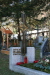 Thumbnail img_0254.jpg 