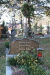 Thumbnail img_0256.jpg 