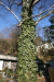 Thumbnail img_0261.jpg 