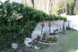 Thumbnail img_0262.jpg 