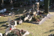 Thumbnail img_0264.jpg 