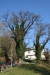 Thumbnail img_0266.jpg 
