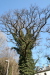 Thumbnail img_0267.jpg 