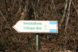 Thumbnail img_0269.jpg 