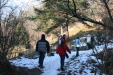 Thumbnail img_0274.jpg 