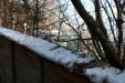 Thumbnail img_0277.jpg 