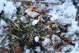 Thumbnail img_0281.jpg 