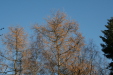 Thumbnail img_0282.jpg 