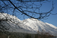 Thumbnail img_0283.jpg 