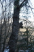 Thumbnail img_0285.jpg 