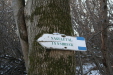 Thumbnail img_0289.jpg 