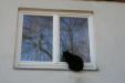 Thumbnail img_0300.jpg 