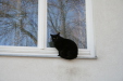 Thumbnail img_0301.jpg 