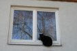 Thumbnail img_0302.jpg 