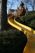Thumbnail img_0306.jpg 