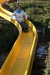 Thumbnail img_0307.jpg 
