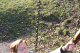 Thumbnail img_0317.jpg 