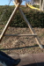 Thumbnail img_0319.jpg 