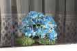 Thumbnail img_0334.jpg 