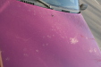 Thumbnail img_0351.jpg 