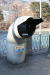 Thumbnail img_0364.jpg 