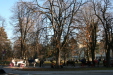 Thumbnail img_0394.jpg 